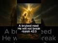 A bruised reed He will not break -Isaiah 42:3 Encouragement Scriptures #prayerforpeace #prayer #amen
