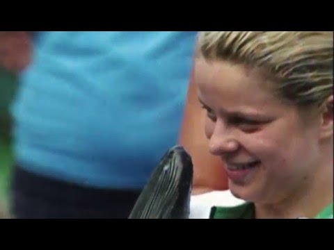 2005: The Comeback Kid