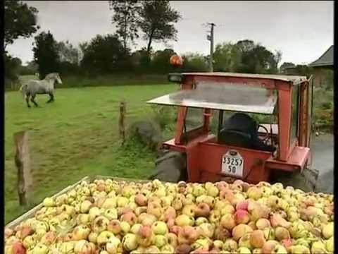 Zu Tisch in der Normandie Teil 1/2