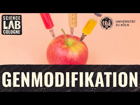 Alles was du über genetisch modifizierte Organismen wissen musst
