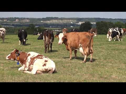 Wandeling van 's Gravenvoeren naar Mheer en Sint Geertruid
