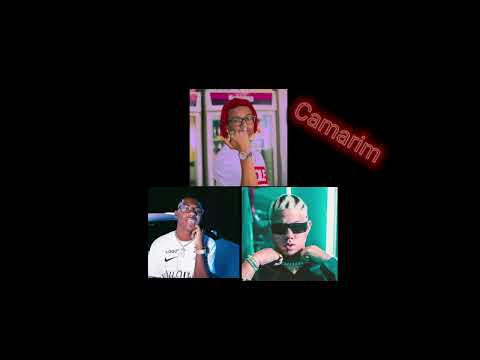 Fabin, Stef, Wiu - Camarim  (Áudio Oficial)
