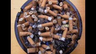 Ashtray Monument- BIGWIG (jawbreaker cover)