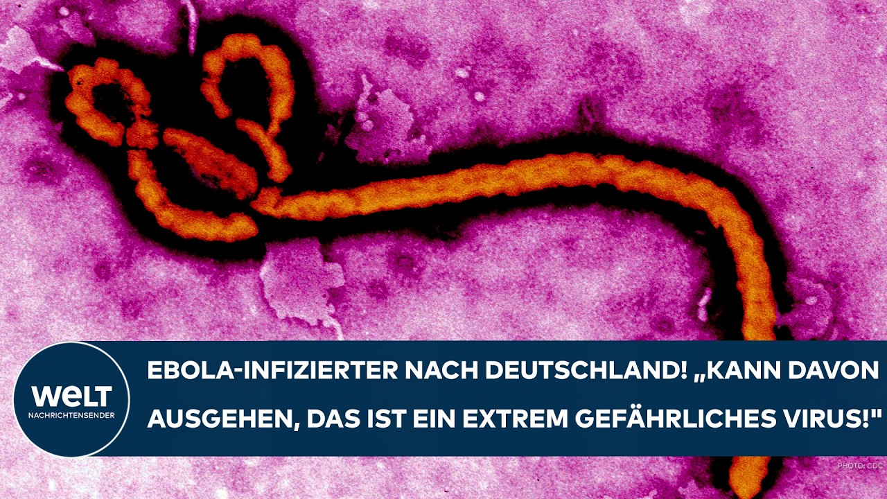 EBOLA: Infizierter nach Deutschland! Experte! "Auf der Hut sein!" Da lauert jetzt die größte Gefahr!