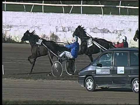 Trotto 22/12/2015 - 1° corsa