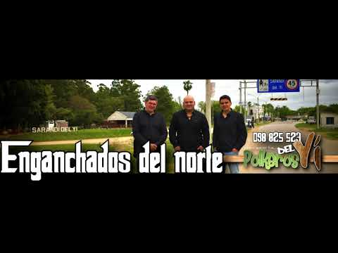 Polkeros del Yi   Enganchados del norte