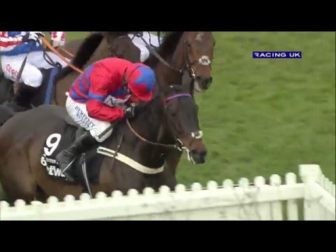2016 Horse Of The Year Nominee - Sprinter Sacre