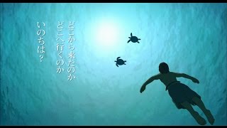 「レッドタートル　ある島の物語」予告編