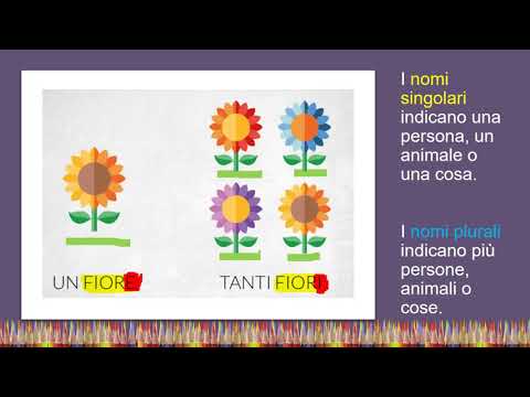Il nome - singolare e plurale - 1° parte