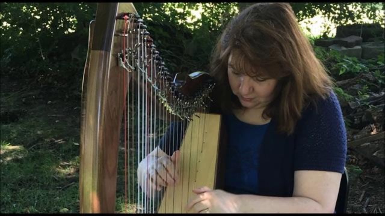 Promotional video thumbnail 1 for Cynthia Boener, Harp