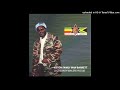Aston 'Family Man' Barrett - Babylon Out Number Dub