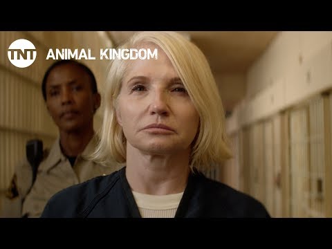 afbeelding Animal Kingdom: Season 3 - Coming Soon [PROMO] | TNT