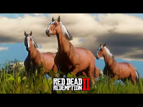 Quantos cavalos eu consigo DOMAR e VENDER em apenas 15 MINUTOS - Red Dead Redemption 2