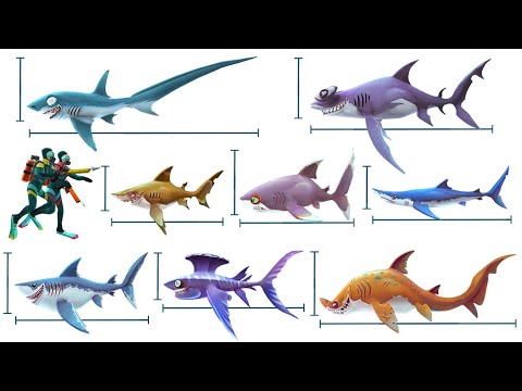 THE BIGGEST SHARK IN HUNGRY SHARK WORLD. All Sharks Size Comparison [Season 1] Dark Magic Shark
