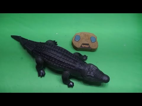 RC Realistic Swimming Crocodile Unboxing & testing - Chatpat toy tv
