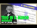 🎼  Eugène WALCKIERS - TRIO for flute, cello & piano [Op. 97] I. Moderato - (Sheet Music Scrolling)