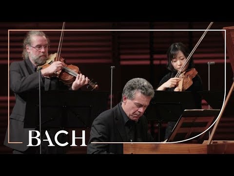 Bach - Harpsichord concerto in F minor BWV 1056 - Henstra | Netherlands Bach Society