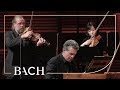 Bach Harpsichord Concerto In F Minor BWV 1056 Henstra Netherlands Bach Society