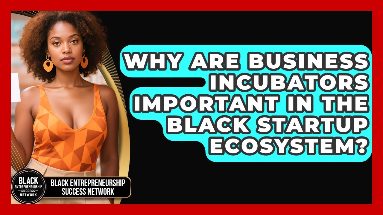 Why Are Business Incubators Important in the Black Startup Ecosystem?