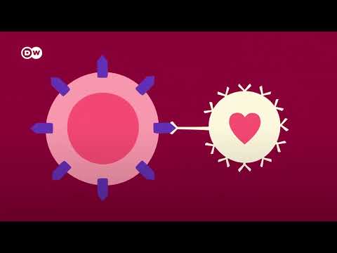 Blood types: A, B, AB, O