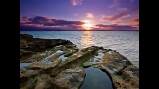 Willy DeVille - Nightfalls