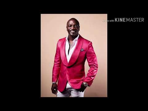 akon el negreeto & pitbull