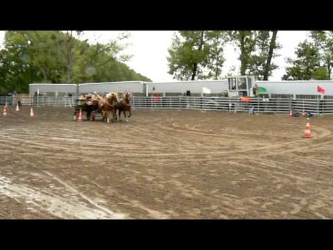 2008 09 20   Ranč Ladná  MČR v jízdě formanských vozů,1