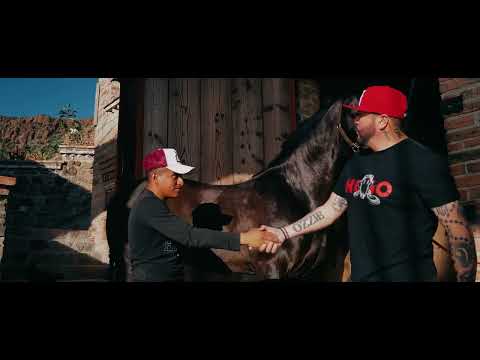 Martin Castillo - RR Reflections (Official Video)