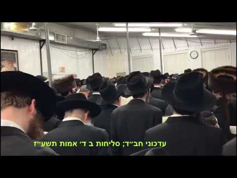 Selichos @ Lubavitcher Rebbe's Ohel - 2017/5777