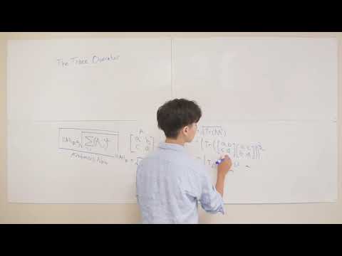 2.10 The Trace Operator