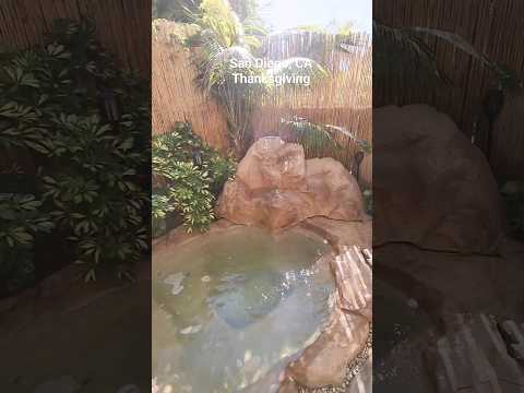 San Diego Thanksgiving #california #sandiego #thanksgiving