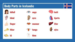 Icelandic Body Vocabulary Flashcard Videos