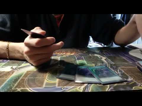 Top 8 WCQ Regional Verona | Salamangreat Deck Profile | Davide Pasini