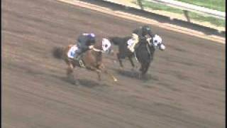 Driving Miss Dazie and Back To A Tac