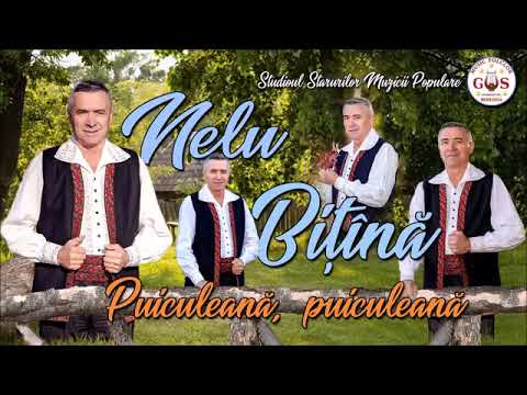 Primul ALBUM semnat NELU BIȚÎNĂ - Puiculeană, puiculeană Melodii de suflet