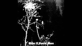 Darkthrone - Under A Funeral Moon (Lyrics)