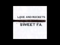 Love and Rockets Sad and Beautiful World 