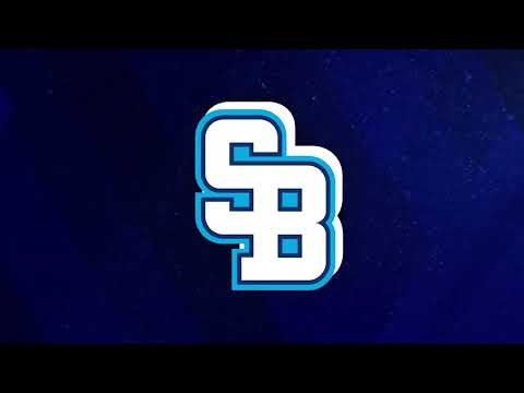 KONCEPT NOVEJ VIZUÁLNEJ IDENTITY HC SLOVAN //