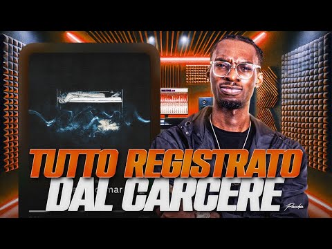 FREE ESCOMAR - SABOECTION CON WILLY!