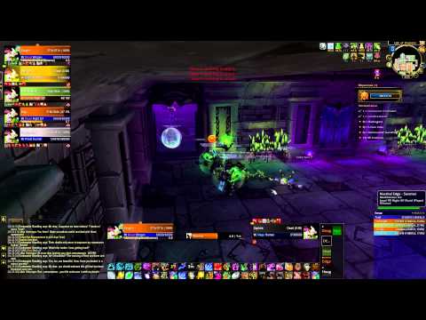 Scholomance Challenge Mode: Gold - Guardian Druid PoV