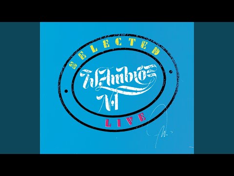 Hoffnungslos (Live aus der Stadthalle Wien / 1984)