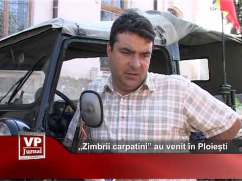 „Zimbrii carpatini” au venit în Ploiești