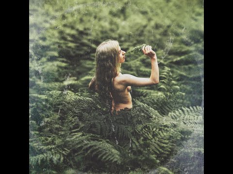 Psalm Trees - You Don't Know What Love Is (2019)