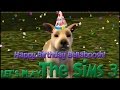 Let's Play Sims 3! Fruitacy EP 15 - Happy Birthday ...