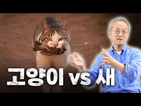 아이콘