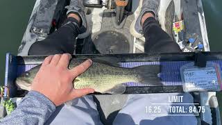 New England Bassin Congamond Lakes Kayak team trail 4/24/21