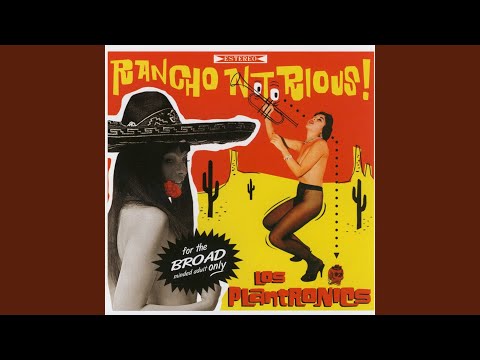 Sheena Is A Punk Rocker