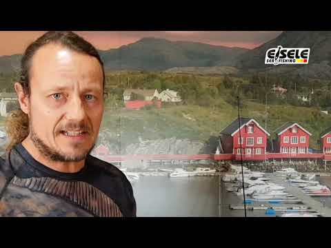 erfolgreich auf Pollack