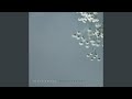 Baby S Breath