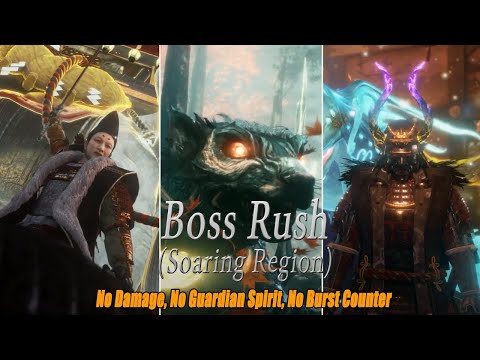 Nioh 2: Boss Rush (Soaring Region) No Damage